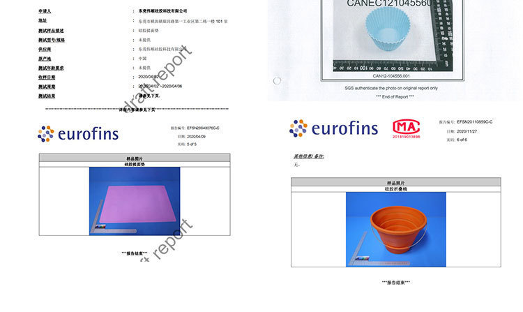 檢測(cè)報(bào)告聲明_03